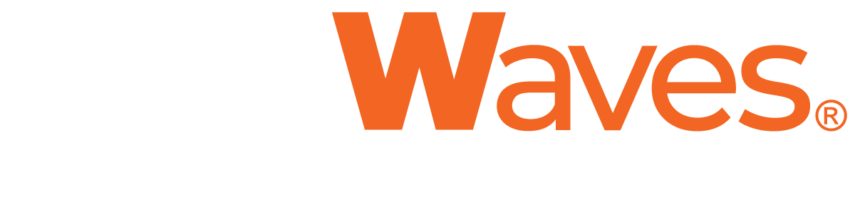 LISA Waves